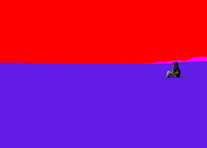 viewscape 101 viewscape 101